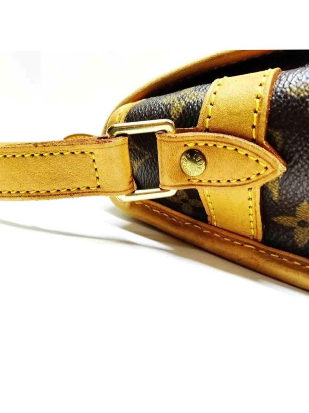 Louis Vuitton classic louis